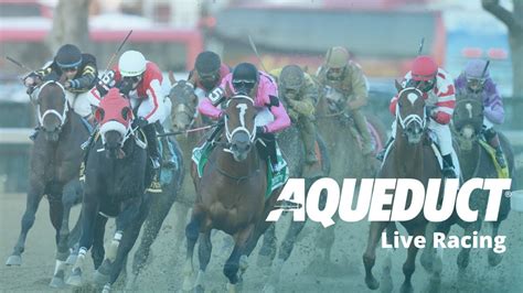 Earn a chance of a lifetime. . Aqueduct race track replays